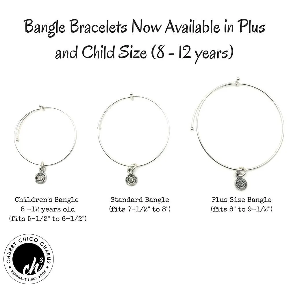 Nebraska Expandable Bangle Bracelet Set