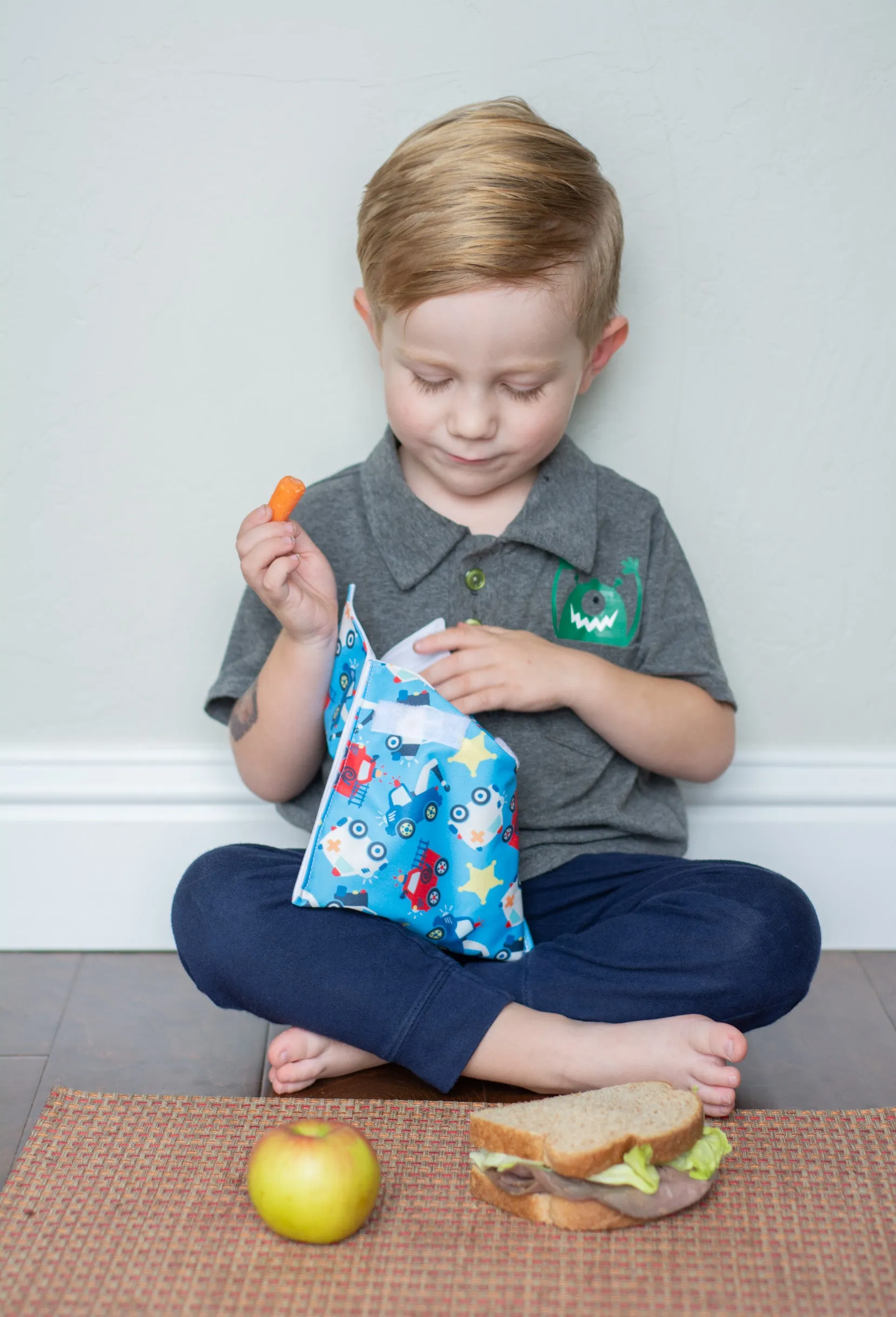 Reusable Snack Bag Pattern