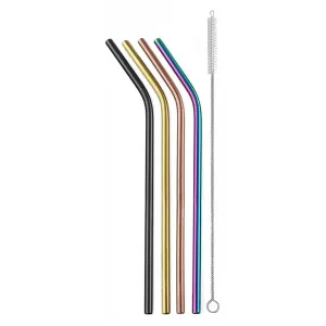 Stainless Reusable Straws - Set of 4